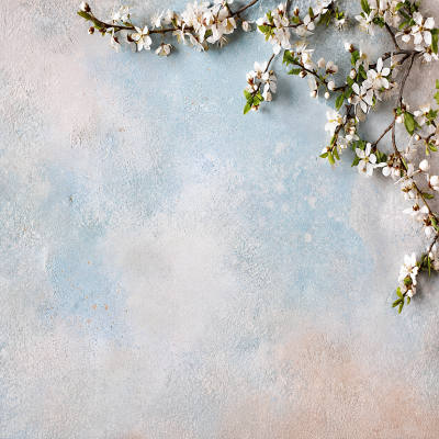 Floral & Garden 3
