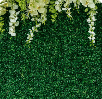 Floral & Garden 4