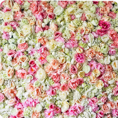 Floral & Garden 5