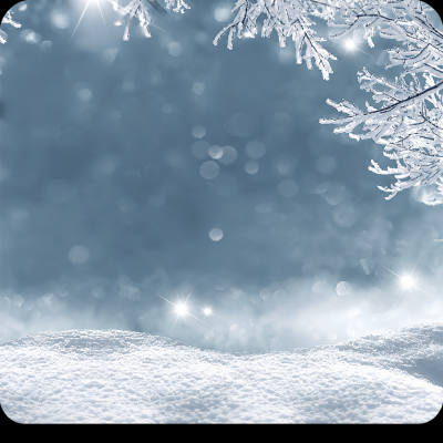 Seasonal & Themed 10